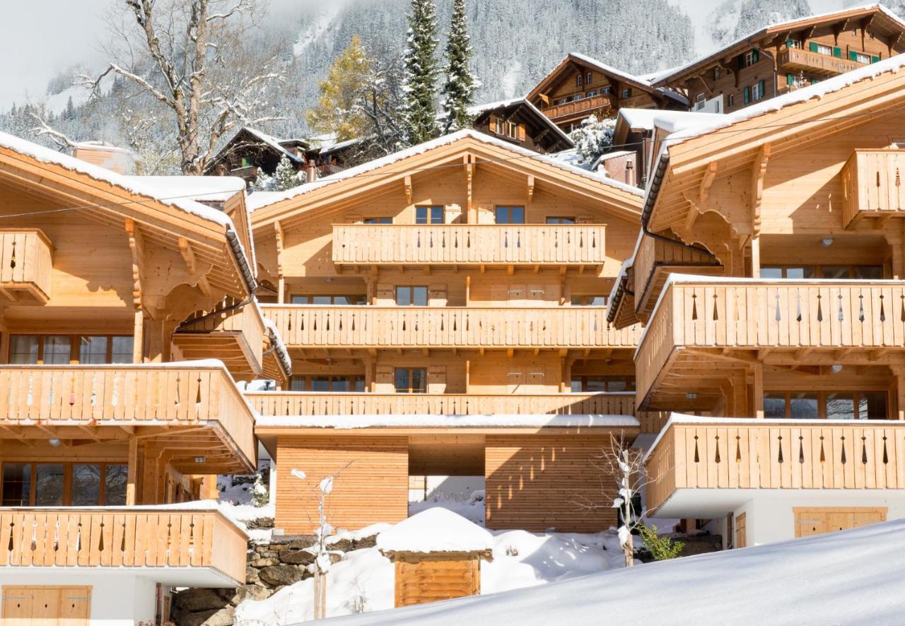 Panoramapark Soleil Chalet E Βένγκεν Εξωτερικό φωτογραφία
